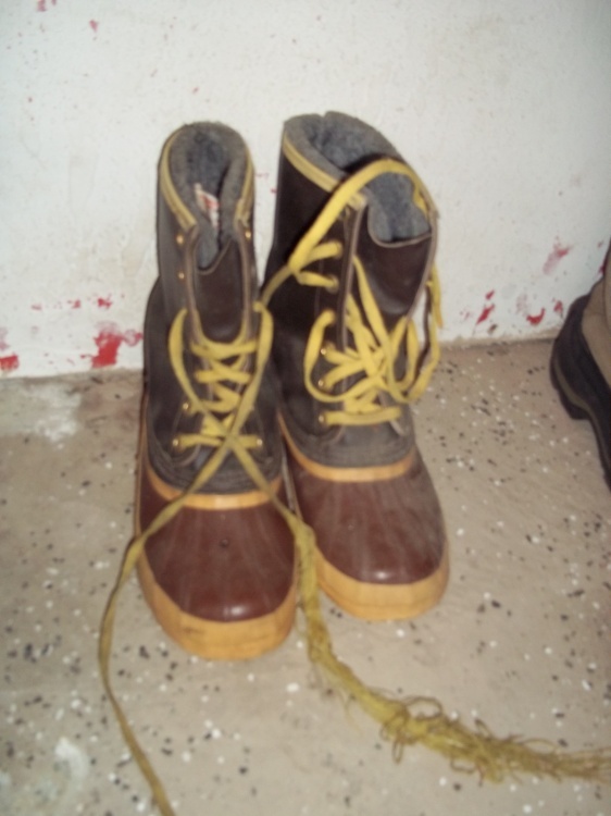 Pair of Sorel Boots