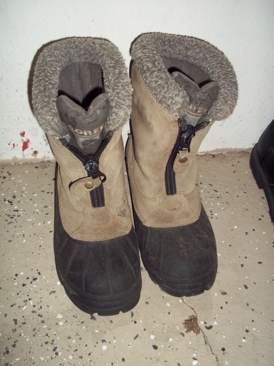 Pair of Winter boots