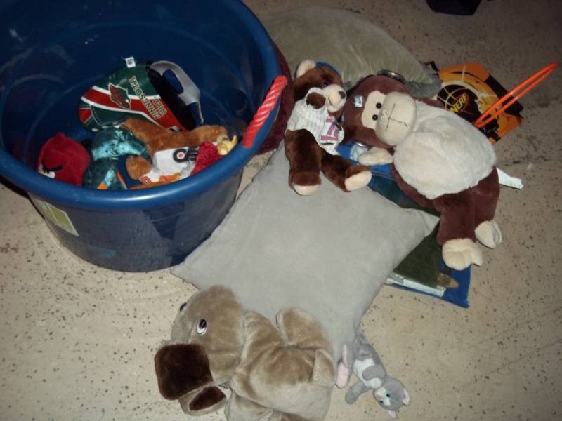 Lot of Misc Toys with tub