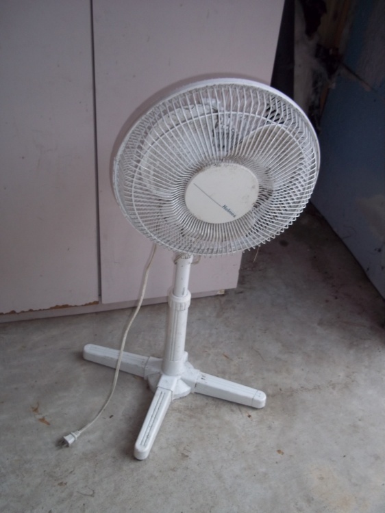 Stand Fan