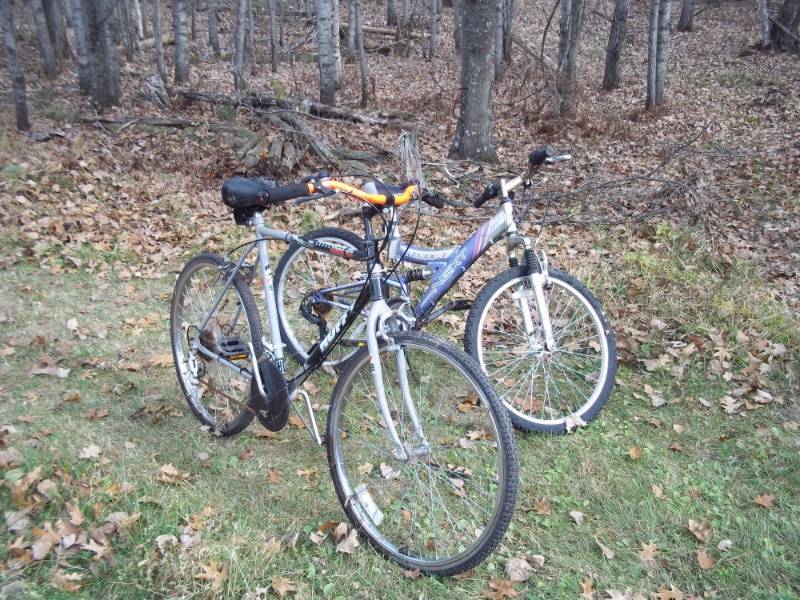 Pair of bikes