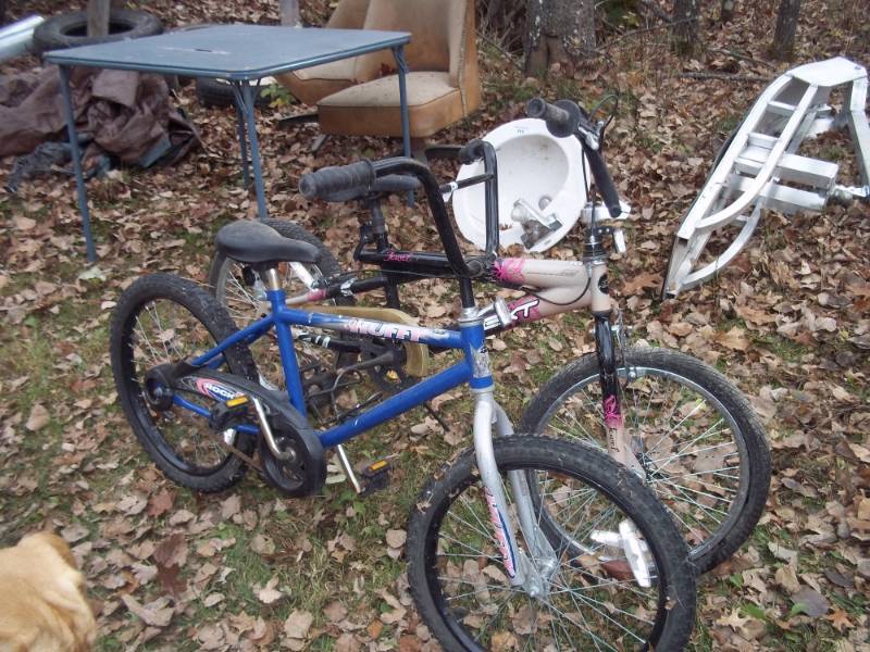 Pair of Bikes