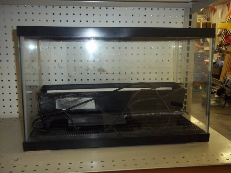 10 Gallon Fish Aquarium with Supplies