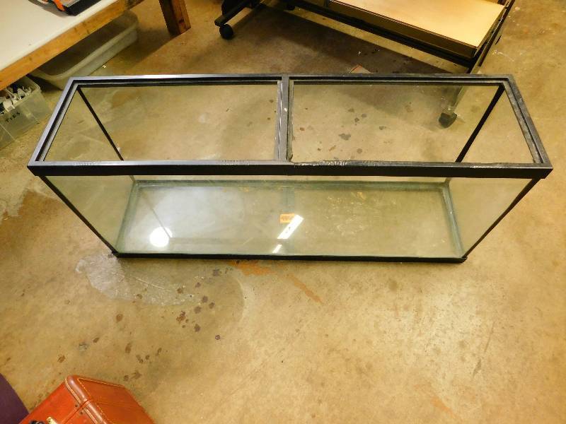 55 Gallon Aquarium