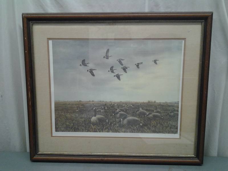 lot 1 image: Conservation Edition Framed Goose Print By Noel Dunn (Signed & Numbered #430) 33x28