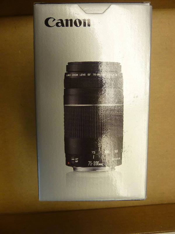 lot 264 image: CanonNikon Camera Lens