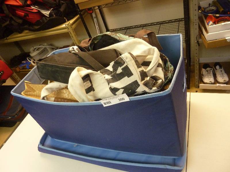 lot 300 image: Large Purse Lot