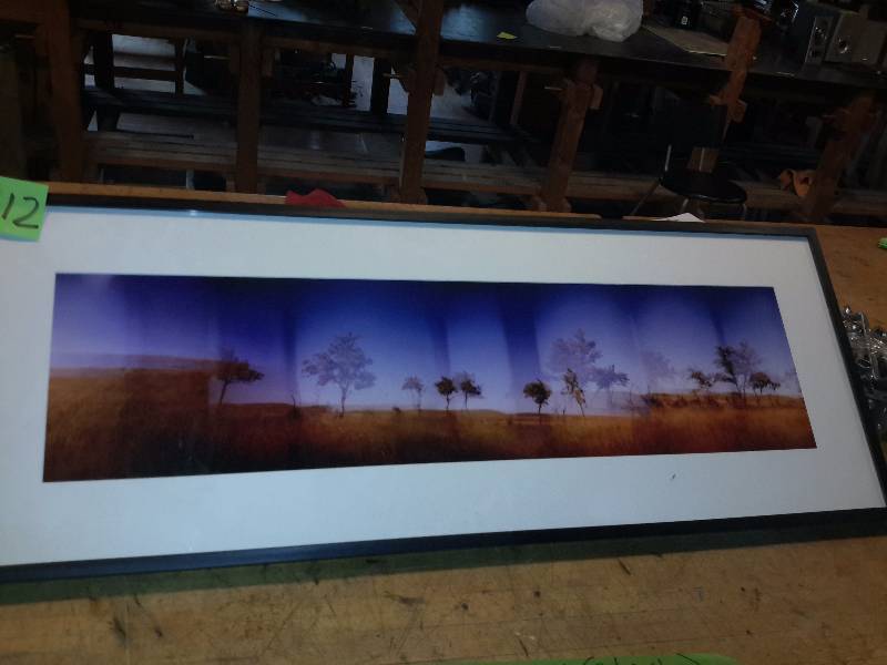 Nice Double Exposure Photograph.. PASTURE