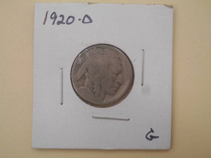 1920 D - Buffalo Head Nickel ...