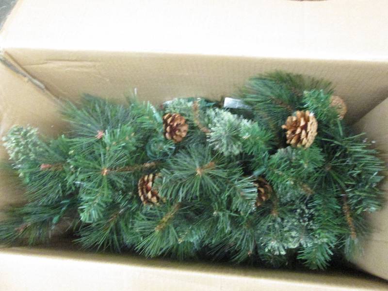 4.5 ft alexander pine potted tree o...