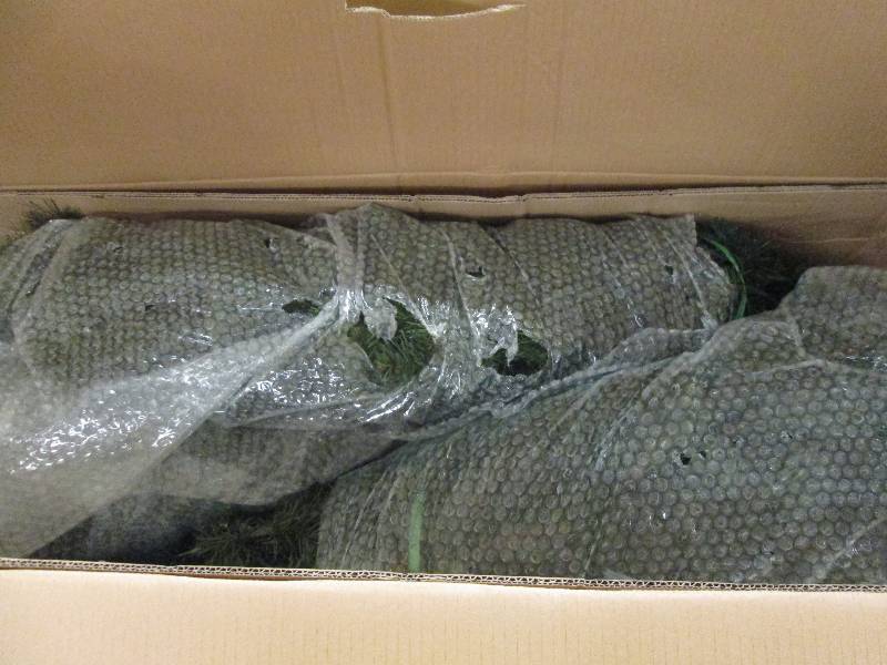 7.5 foot wesley slim spruce lighted...