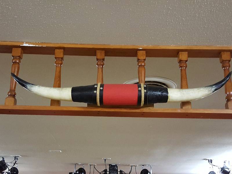 lot 187 image: Mounted Bull Horns