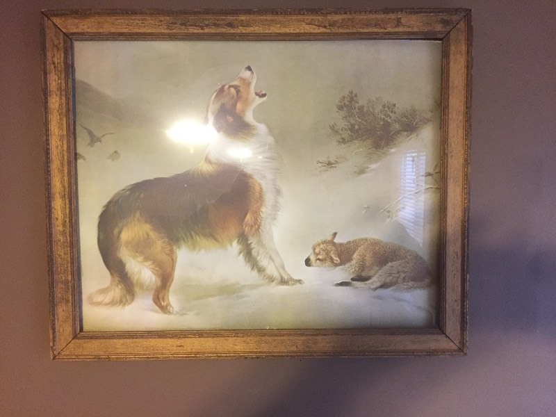10 Framed Prints