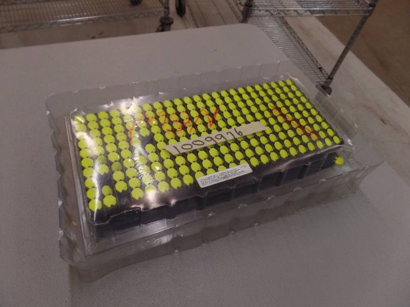 Max Luminator