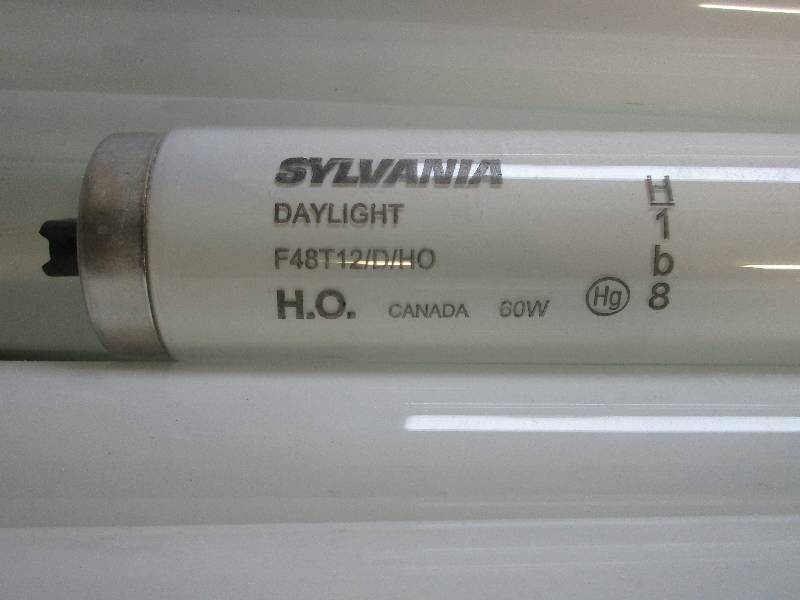lot 63 image: Sylvania florescent bulbs F48T12DHO 60 watt