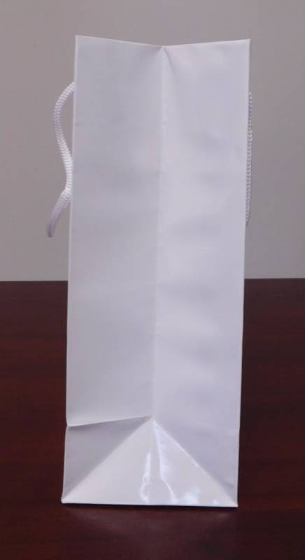 Glossy White Shopping Bags - 8 x 4 x 10