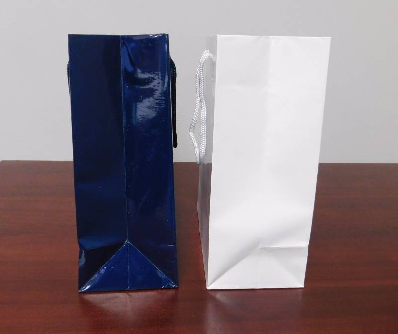 Glossy 8 x 4 x 10 shopping Bags