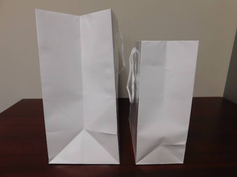 Glossy White Shopping Bags