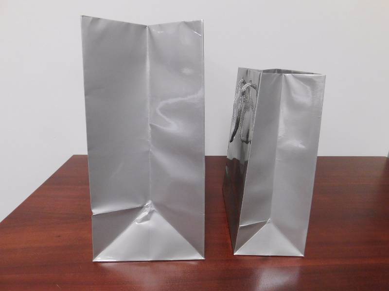 Glossy Platinum Shopping Bags
