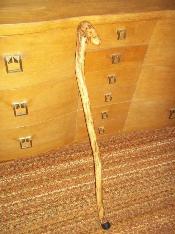 lot 225 image: Walking Cane