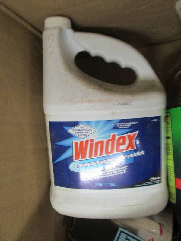 lot 196 image: big bottle of pine-sol, some windex...