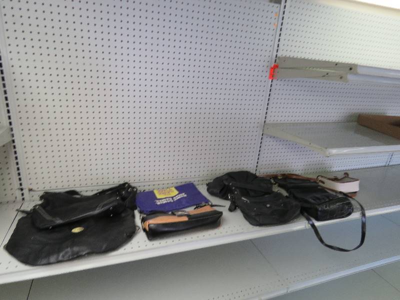 Purse lot