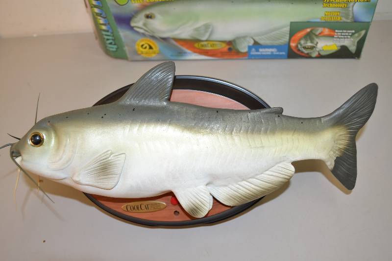 Cool Catfish, Winter Auction 1
