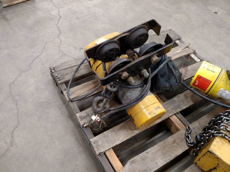 lot 6 image: Budget Electric Chain Hoist with Tr...