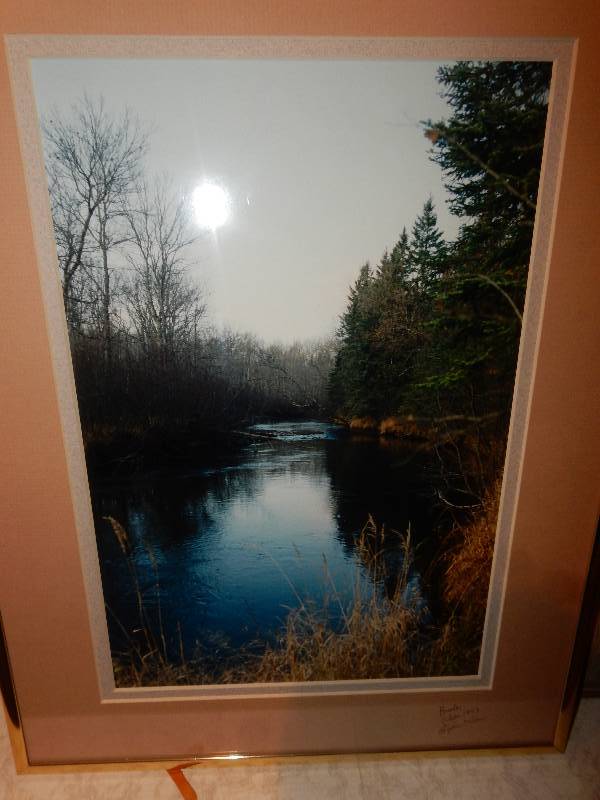 lot 63 image: 3 Wildlife Scene Pictures as shown..