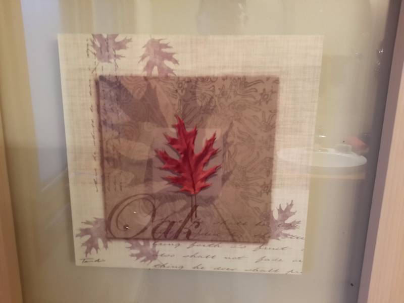 lot 81B image: 2, nice LEAF Theme pictures