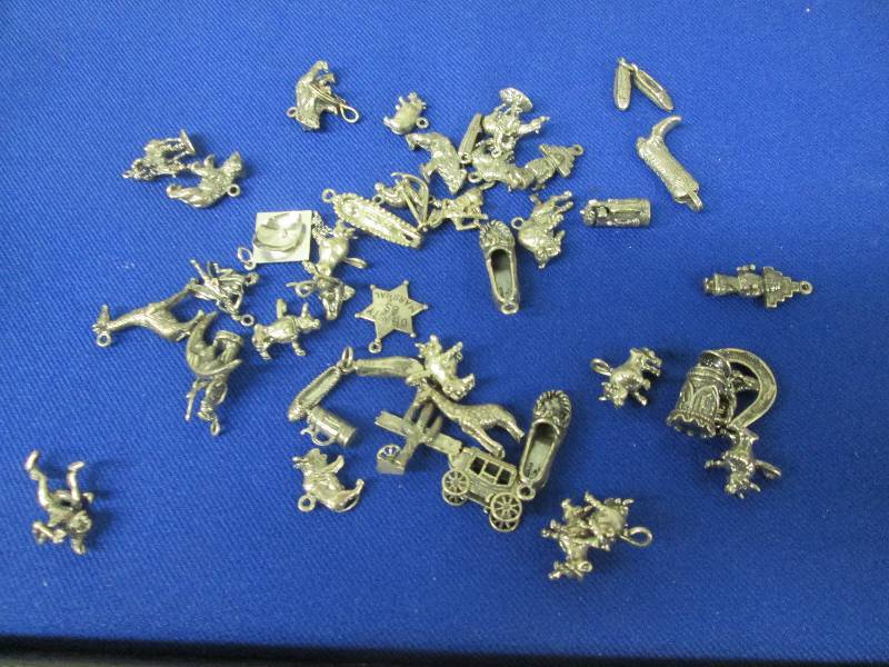 Assorted Charms...
