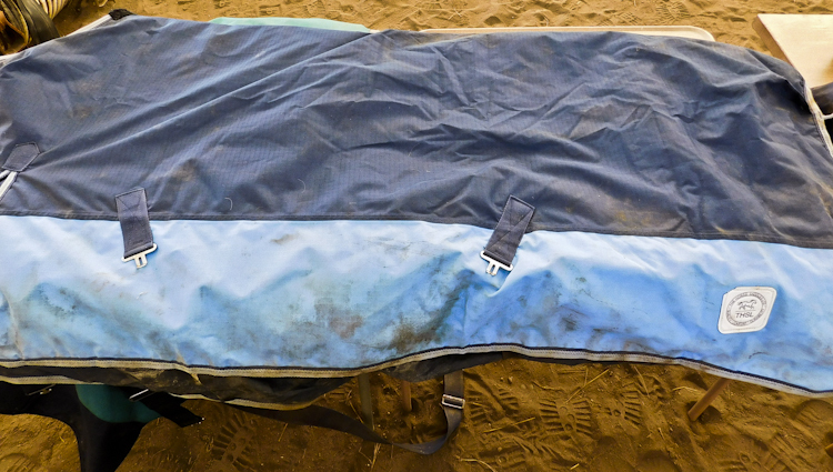 Horse blanket