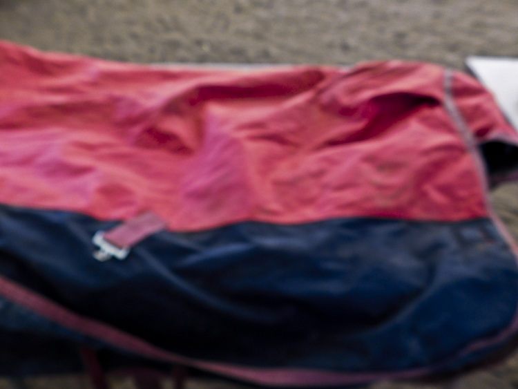 Horse blanket