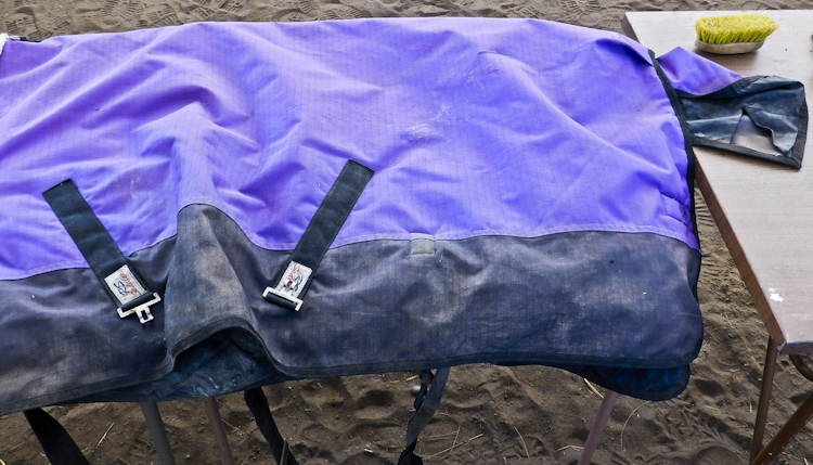 Horse blanket