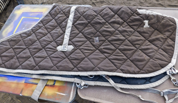 Horse blanket