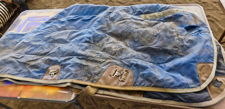 Horse blanket