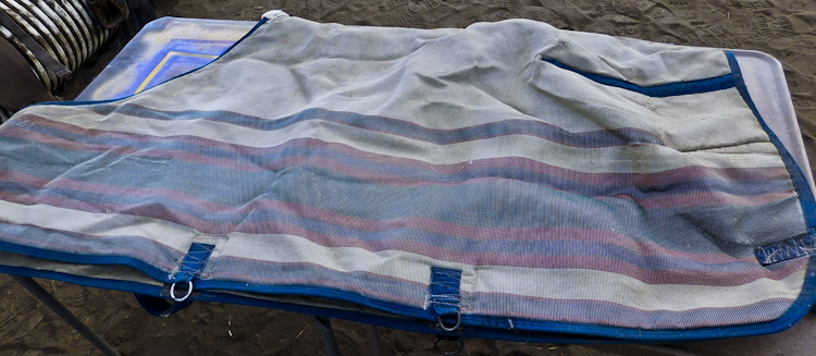 Horse blanket