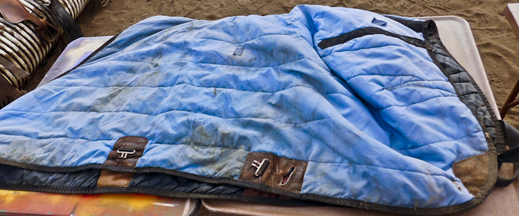 Horse blanket