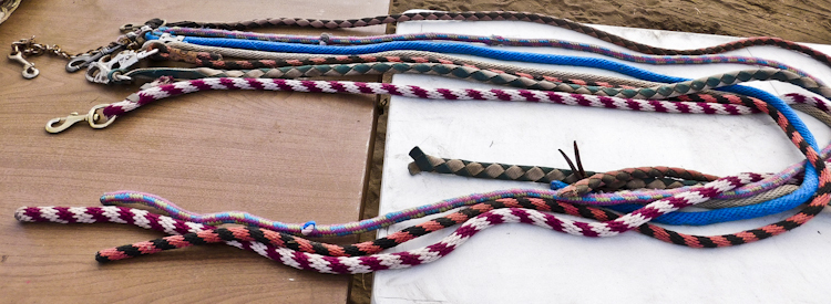 horse leads