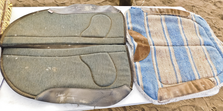 horse saddle pads