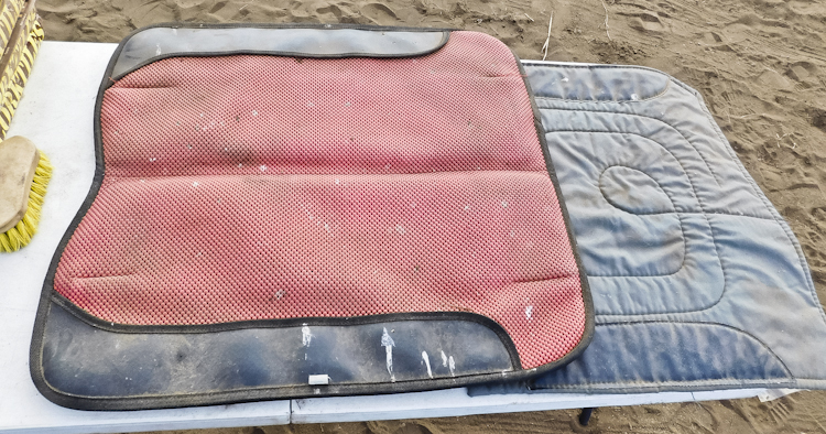horse saddle pads