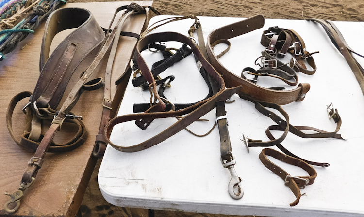 misc buckles and straps