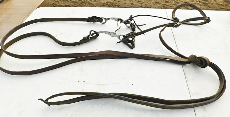 horse bit and reins