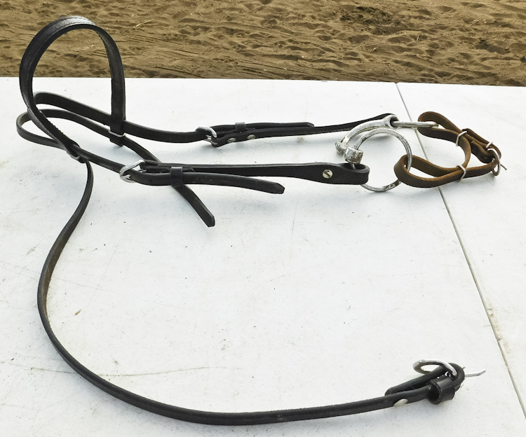 horse bridle and bit