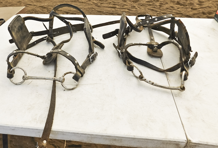 horse bit bridle and side blinders