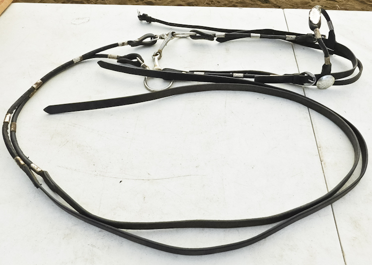 horse bridle and bit with reins