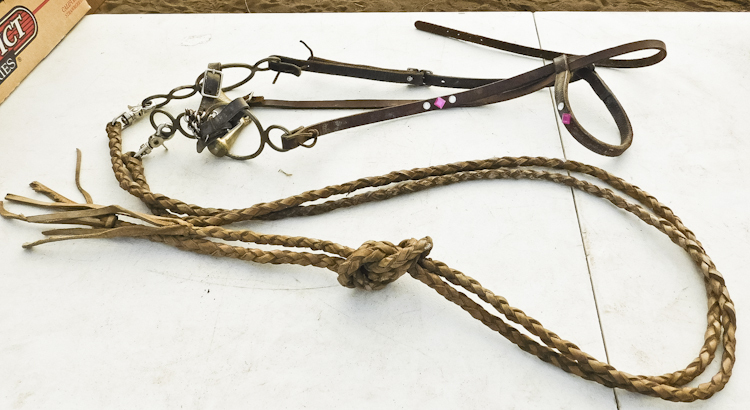 horse bridle and bit with reins