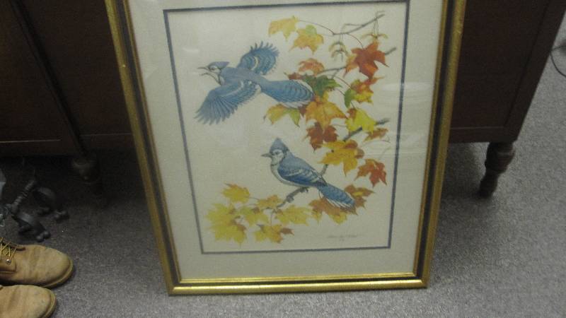 lot 46 image: Vintage Blue Jay Print