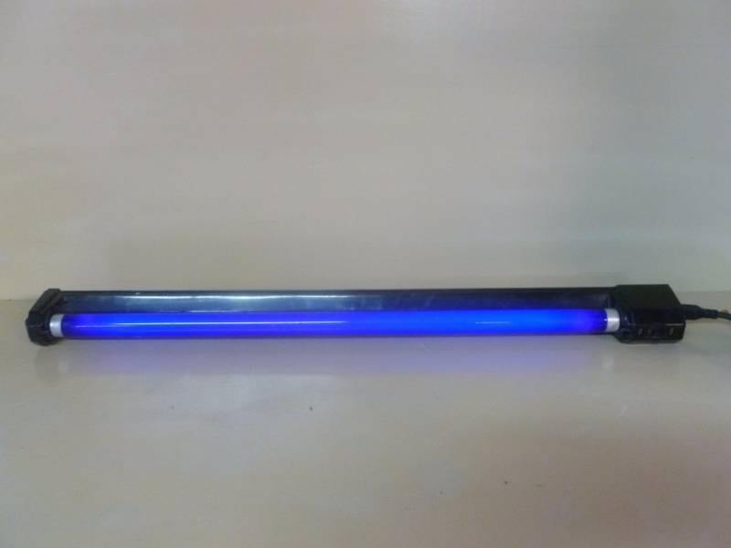Black Light