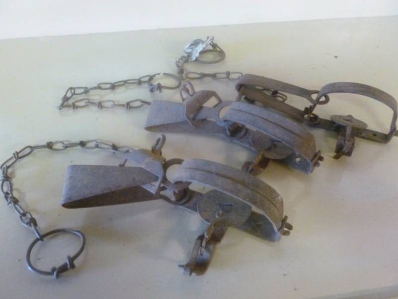 Vintage Traps